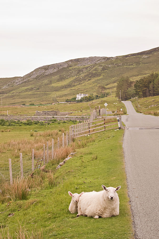 Looking Toward Swordale House