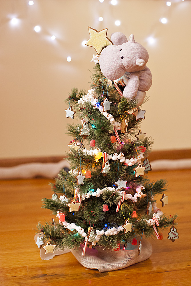 And lastly, top it all off with a sugary star!