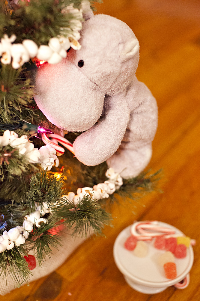 Some peppermint sticks and gum drops will go nicely with the salty popcorn.