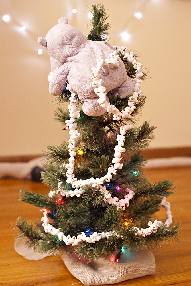 A tiny hippo must have no fear, the popcorn will not hang itself. 