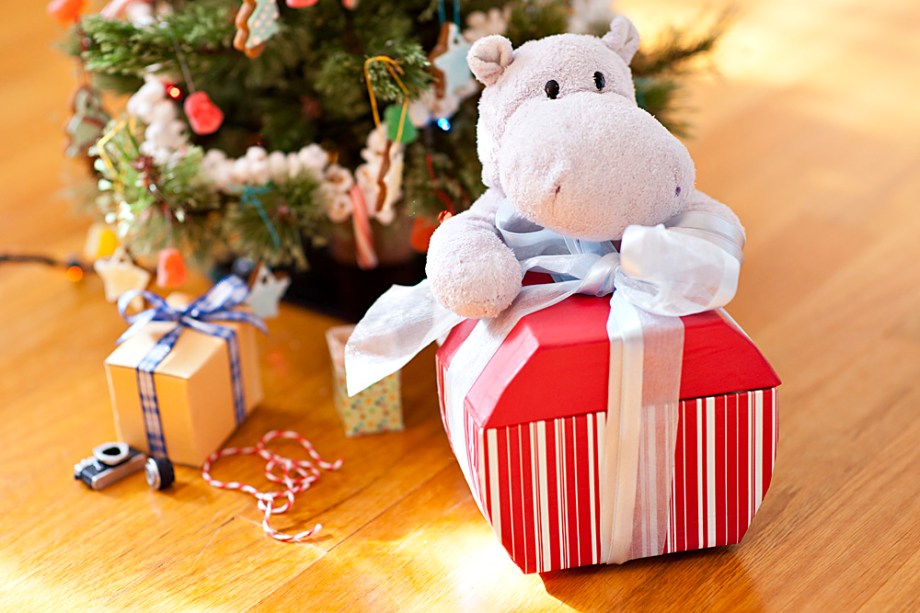 Let me see what is in this box