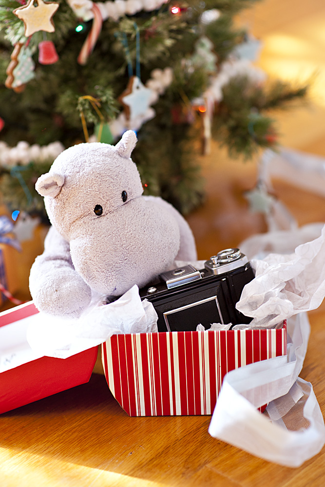 Nice, a vintage camera is just what I was hoping for! 