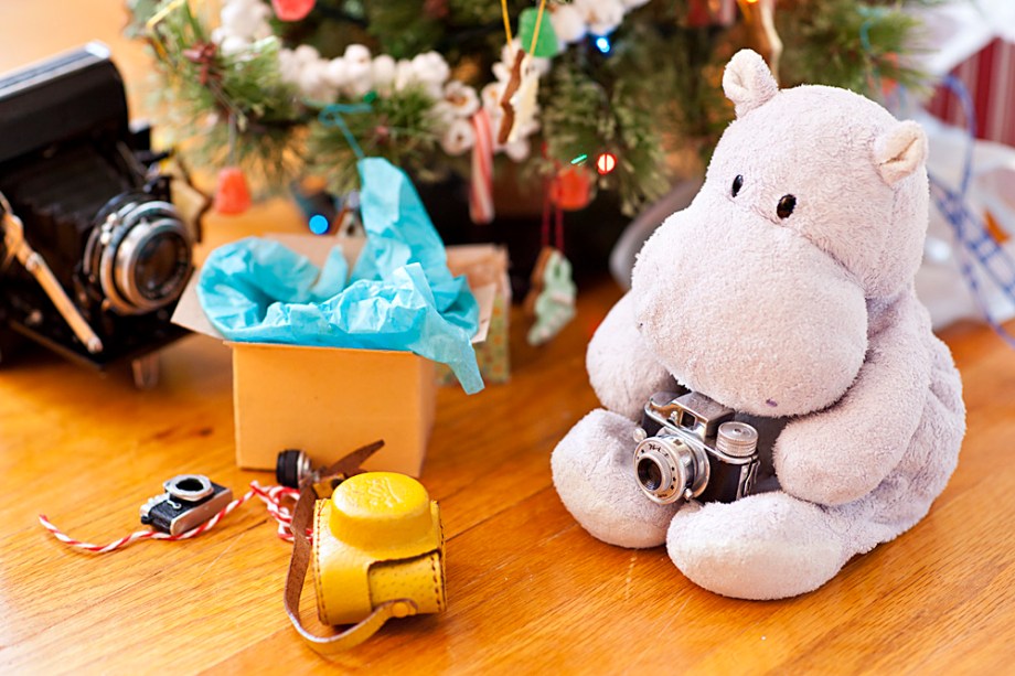 Oh cool! A miniature Japanese Hit camera from the 1950s! This is just the right size for a Tiny Hippo with an artistic side. Now, to find the perfect subject!