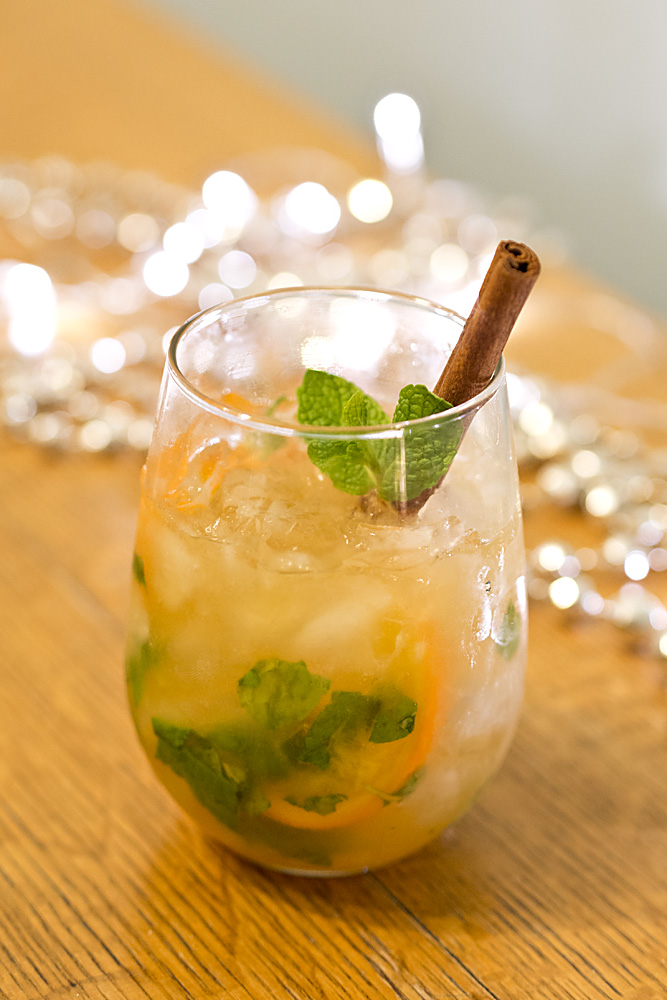 Spiced Mint Julep