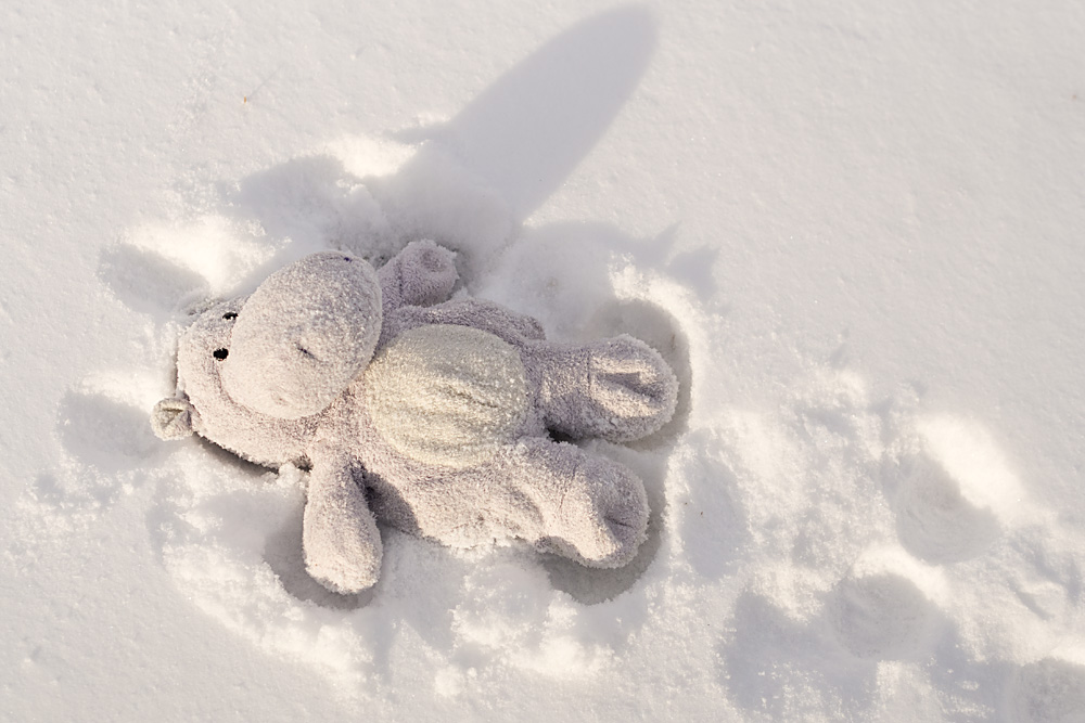 Hippo Making Snow Angel