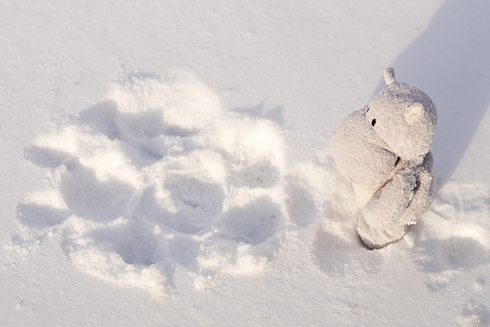Snow Hippo