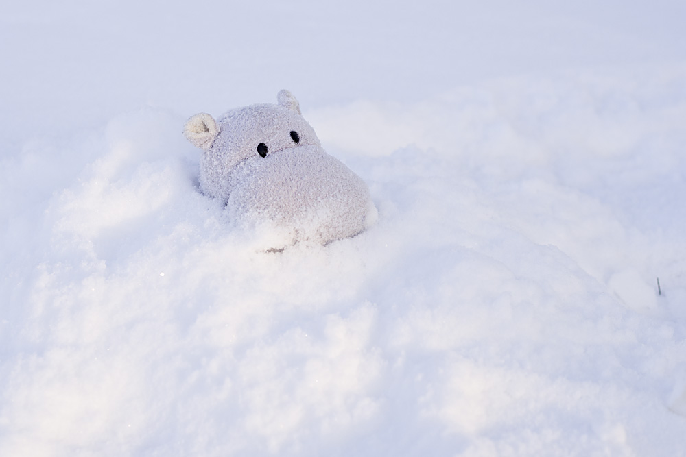 Tiny Hippo Surfaces in the Snow