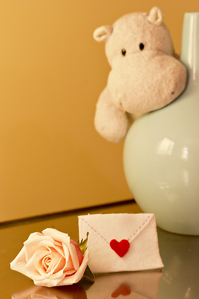 Tiny Hippo Finds his Valentine's Day Gift