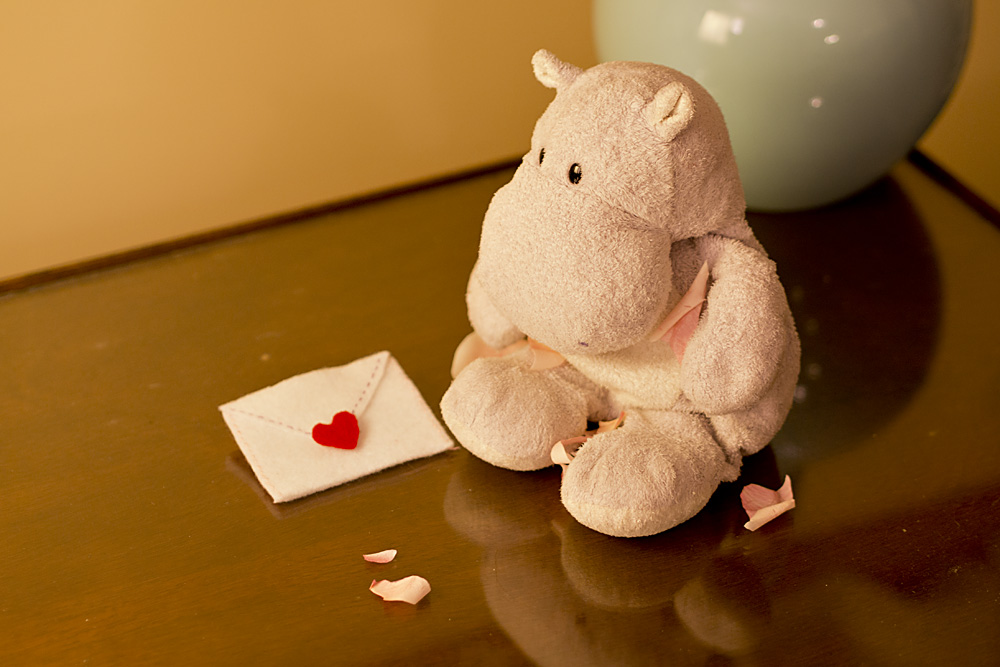 Tiny Hippo Finds a Love Note