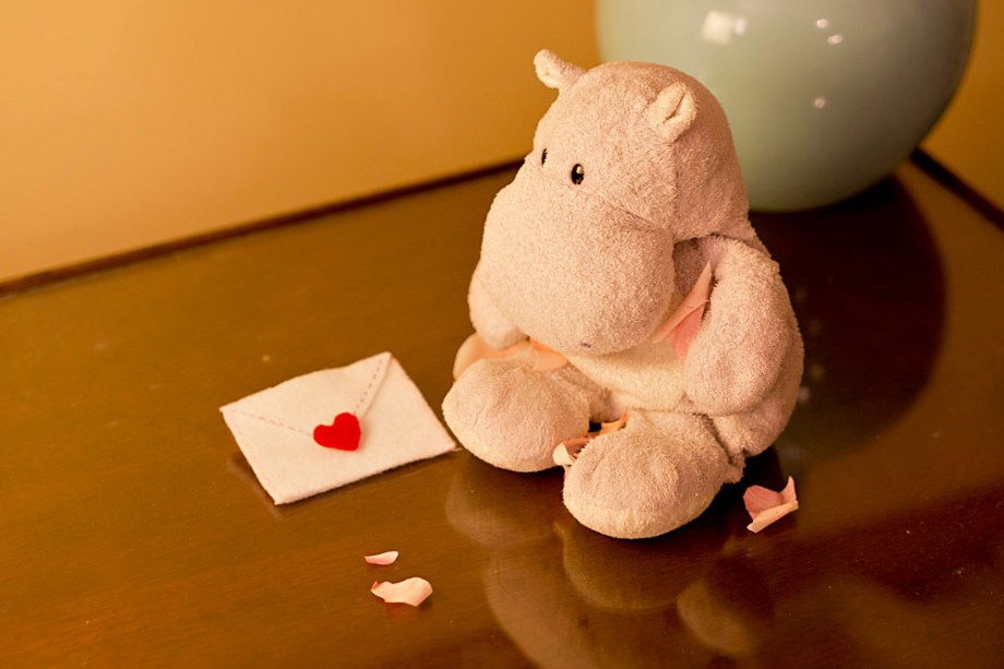Tiny Hippo Finds a Love Note