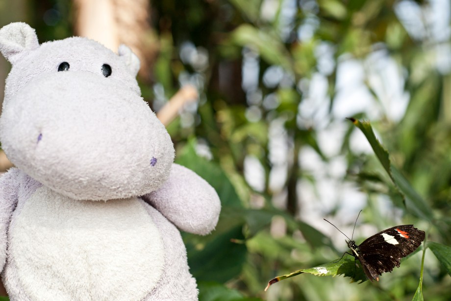 However, once I explained that I would not steal their flowers they warmed up to me