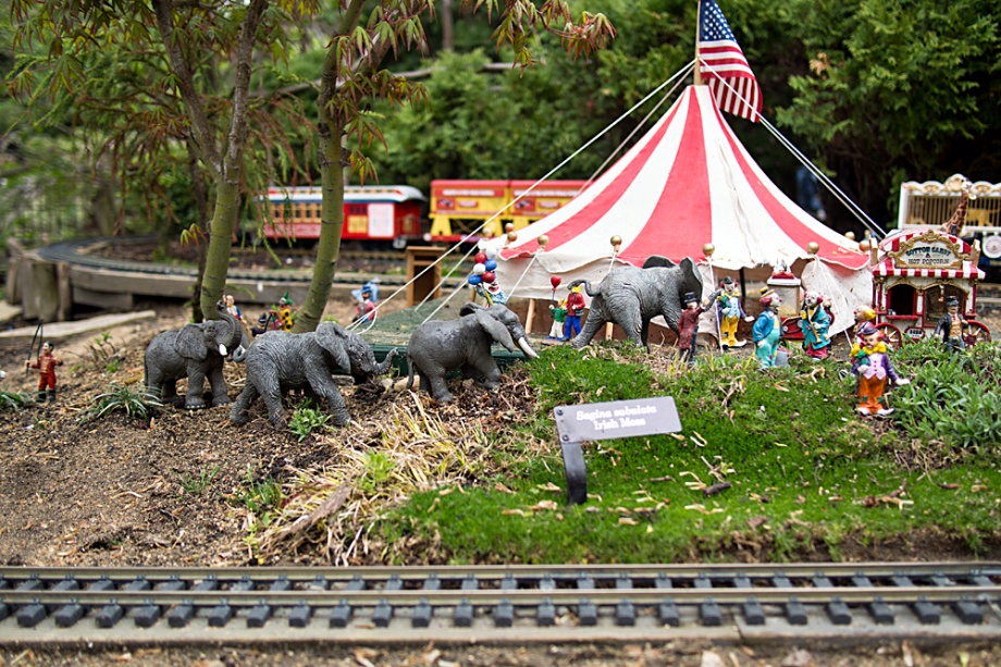 It was none other than the Ringling Brothers Circus. Their famous train can be seen in the background