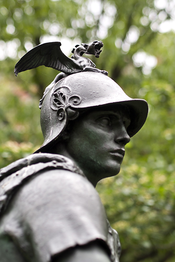 Military Courage by Paul Dubois