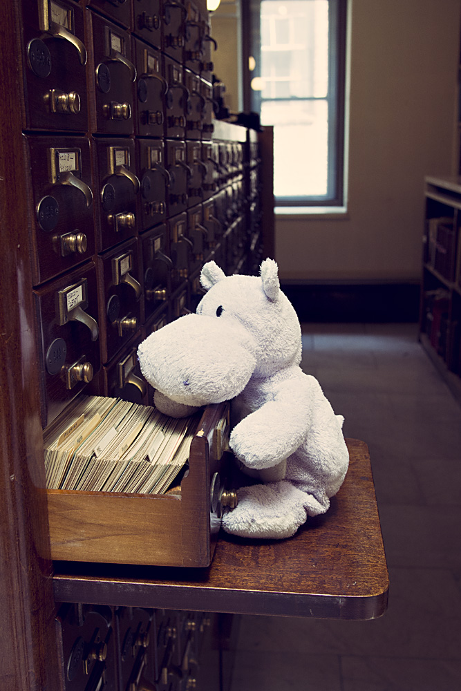George Peabody Library Card Catalog and a Tiny Hippo