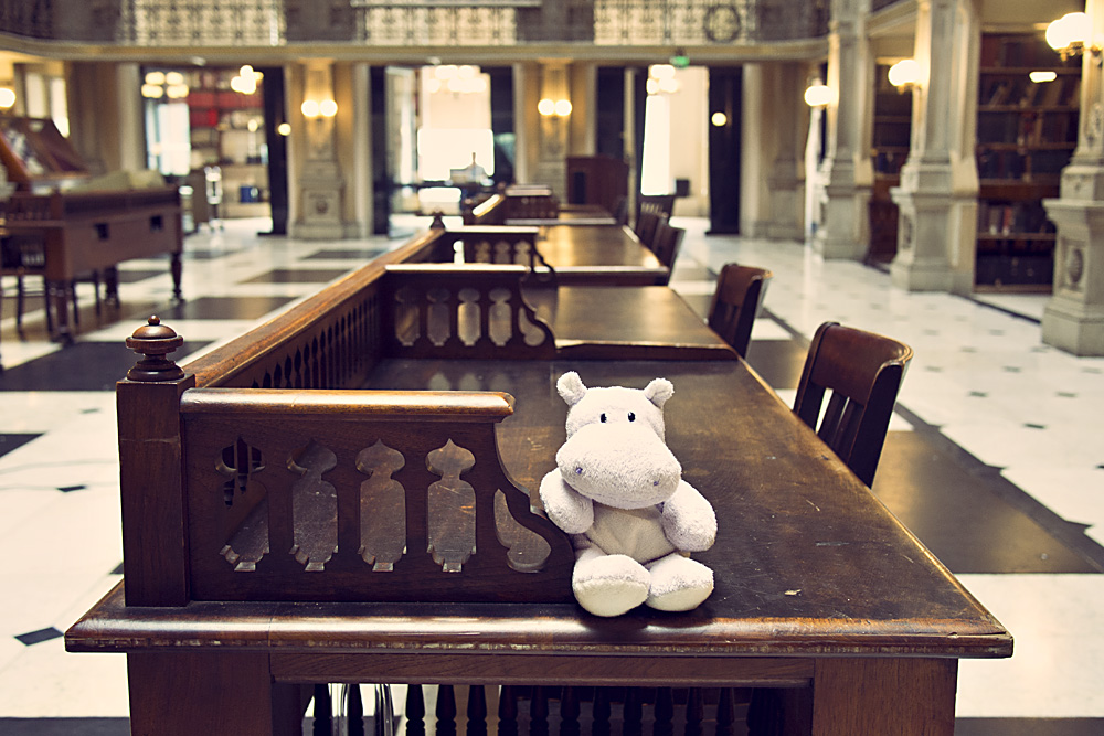 George Peabody Library Tables with Tiny Hippo