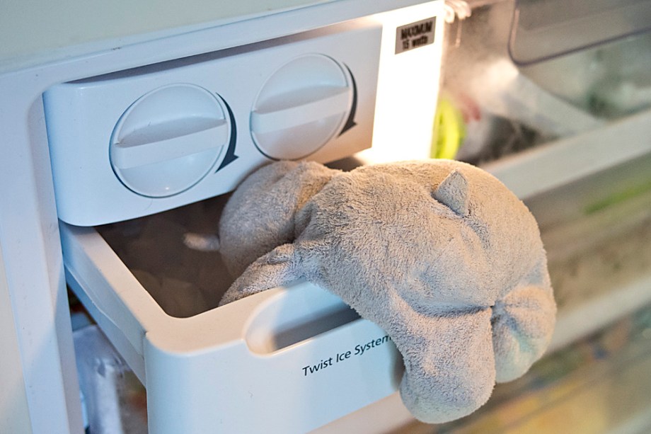 Tiny Hippo in the Ice Box