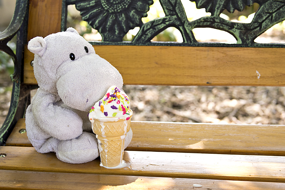 Tiny Hippo Eats Ice Cream Cone