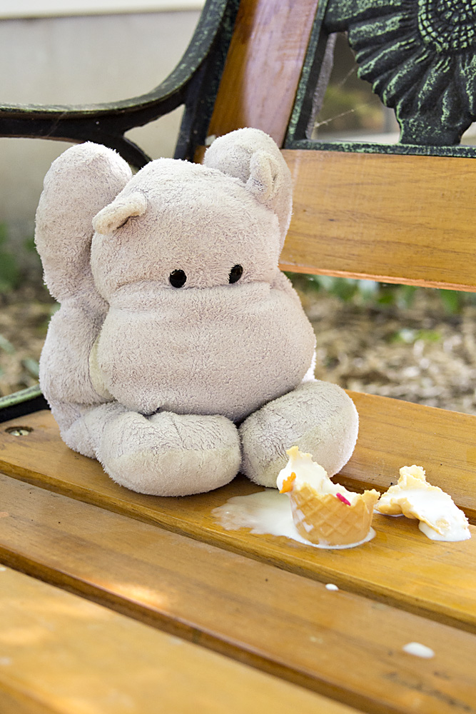 Tiny Hippo gets Brain Freeze