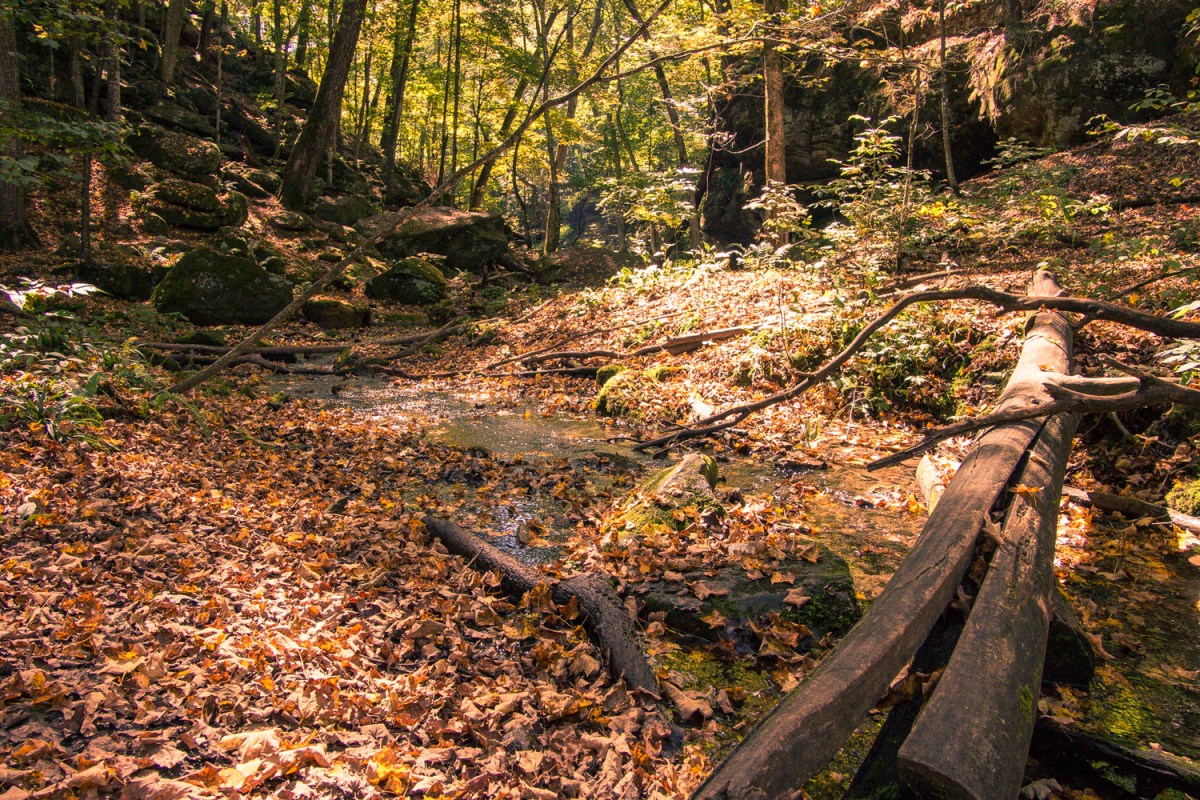 Little Stream at Lost Canyon Trail