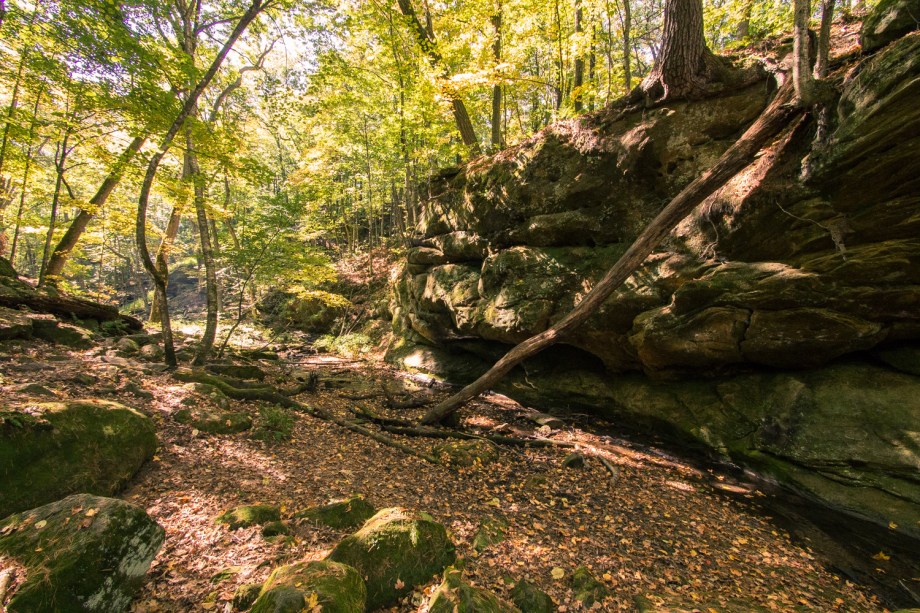 Stream at Governor Dodge State Park 
