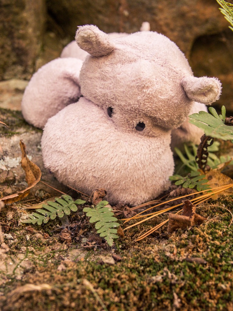Fern and Tiny Hippo