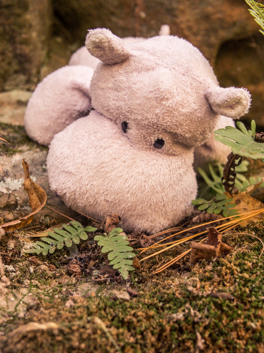 Fern and Tiny Hippo