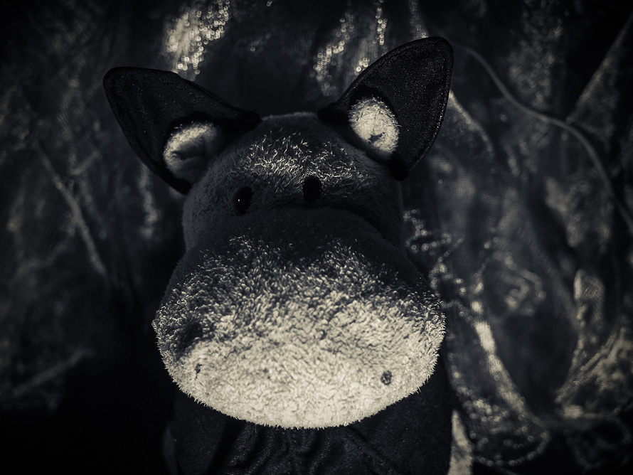 Tiny Hippo with Big Bat Ears