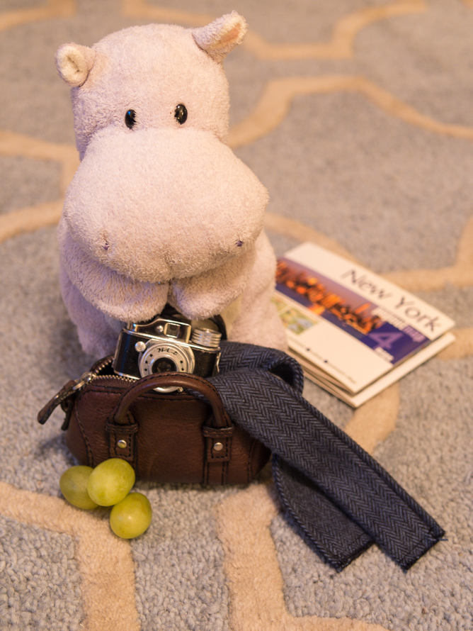 Tiny Hippo Packs his Bags