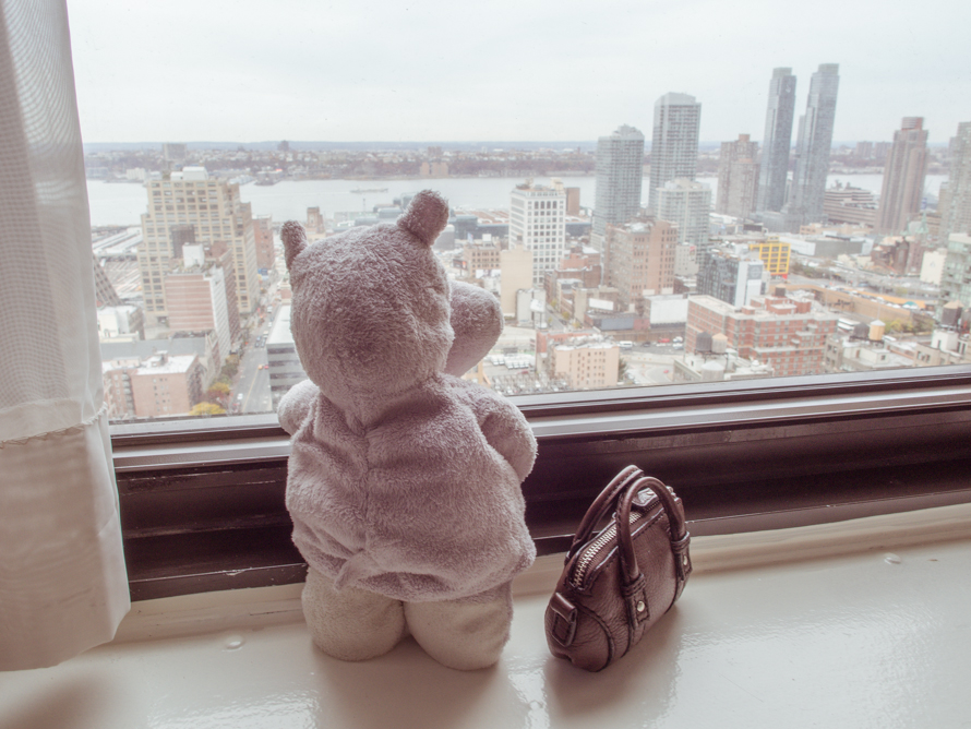View from New Yorker Hotel and Tiny Hippo