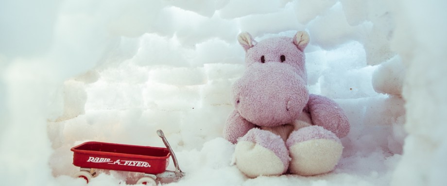 Snow Hippo in his Igloo