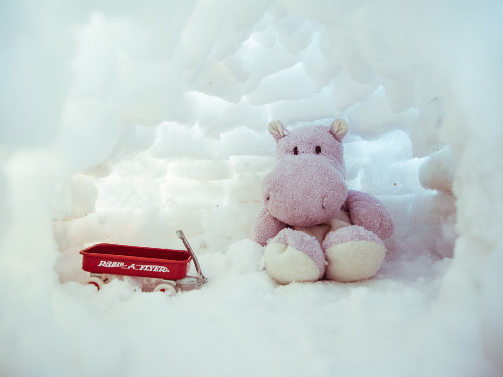 Snow Hippo in his Igloo