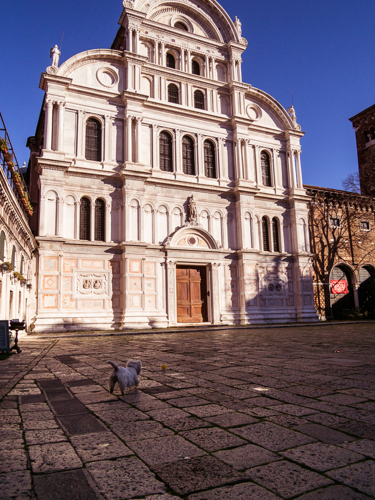 Terrier in Campo San Zaccaria