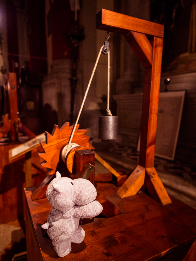 Tiny Hippo uses da Vinci Machine