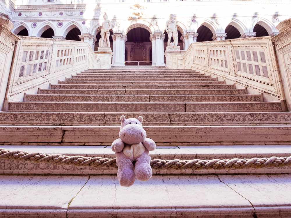 The Giants' Staircase with a Tiny Hippo