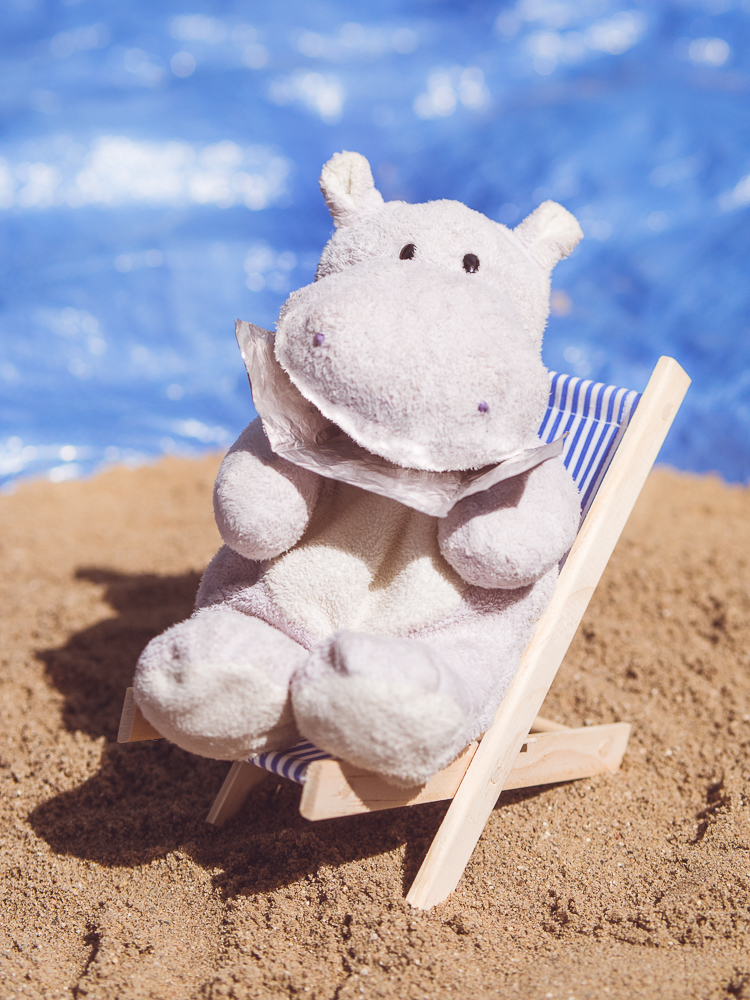Tiny Hippo Sunbathing 