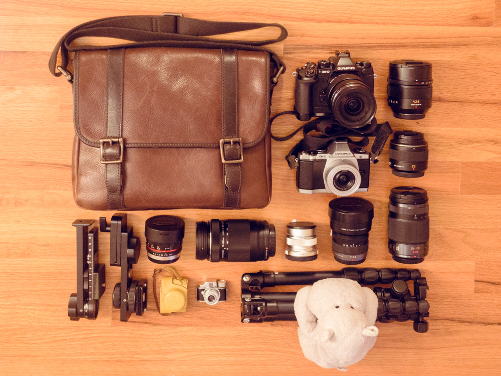 Tiny Hippo with his Camera Gear