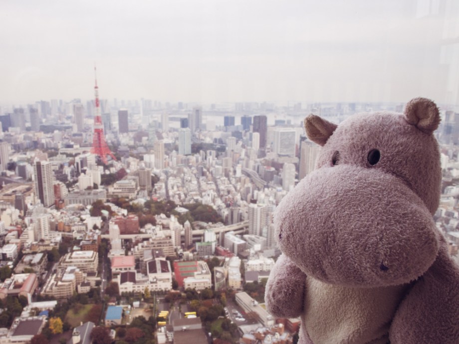 Tiny Hippo at Mori Art Museum Tokyo City View