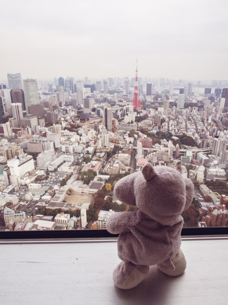 Tiny Hippo Tokyo City View