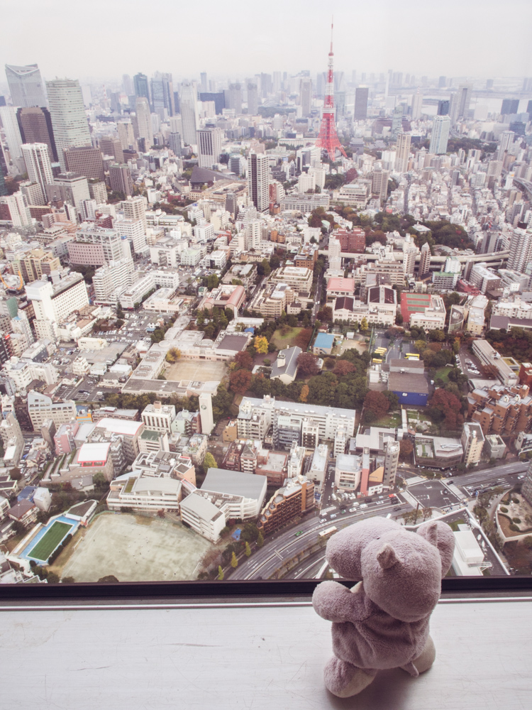 Tiny Hippo Mori Museum