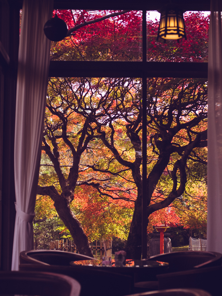 Nara Hotel Tea Room Fall