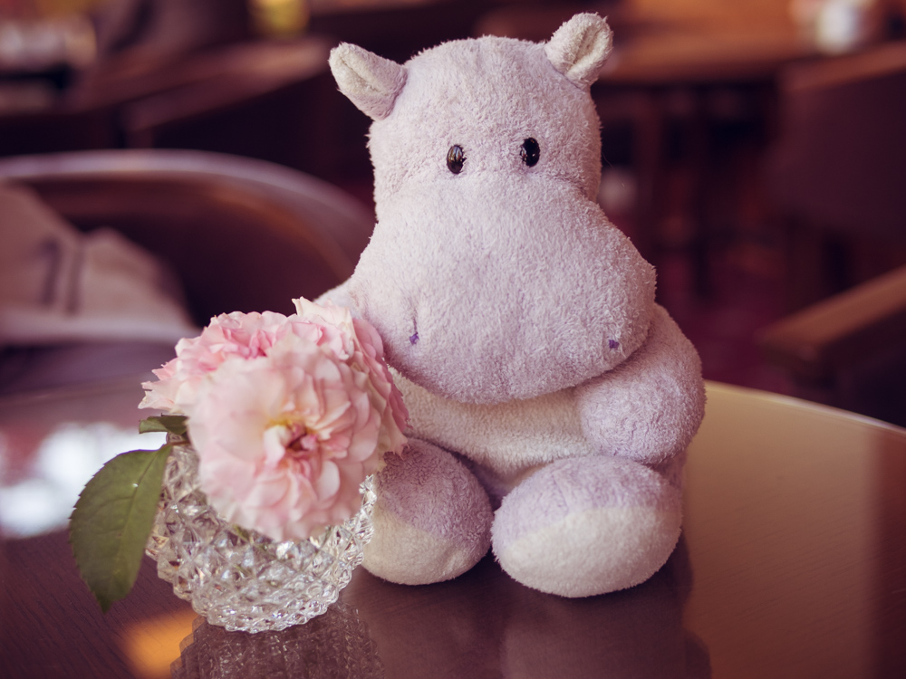 Tiny Hippo with Flowers