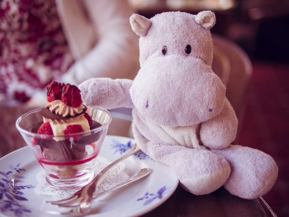 Tiny Hippo Dines at Nara Hotel