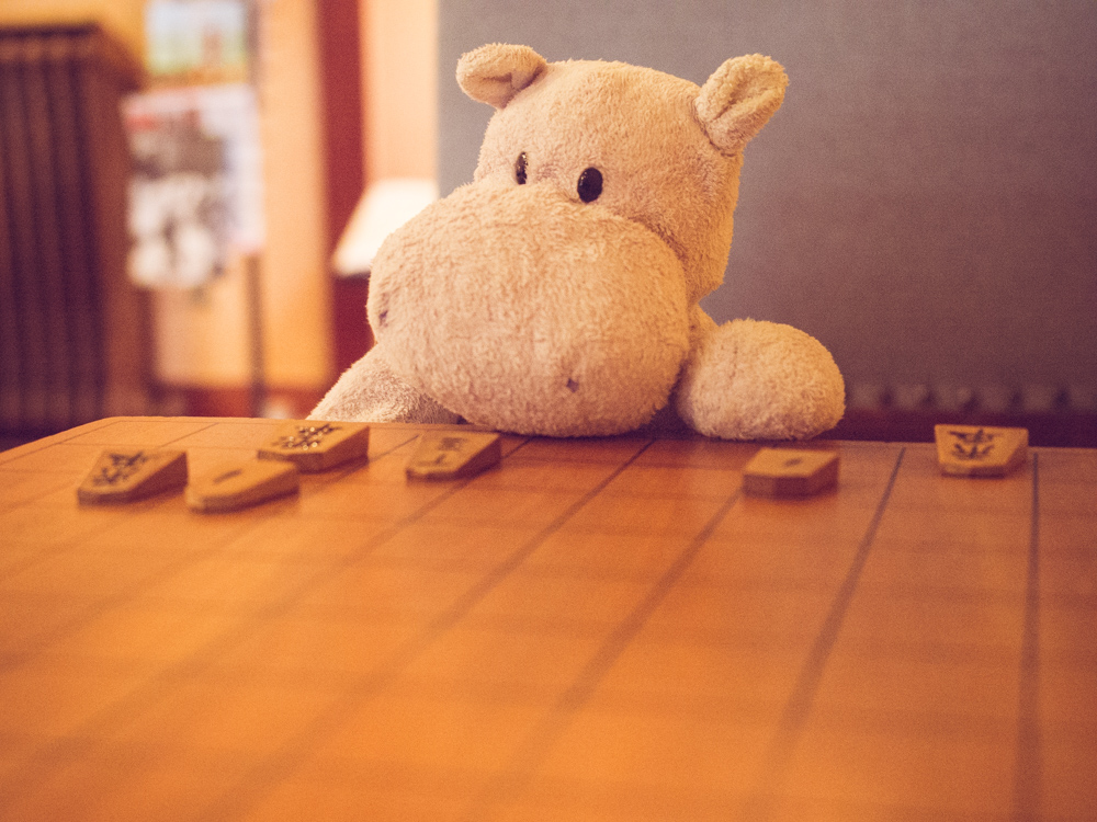 Tiny Hippo Plays a Game