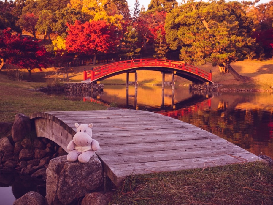 Tiny Hippo at Old Daijoin Temple Garden, Nara