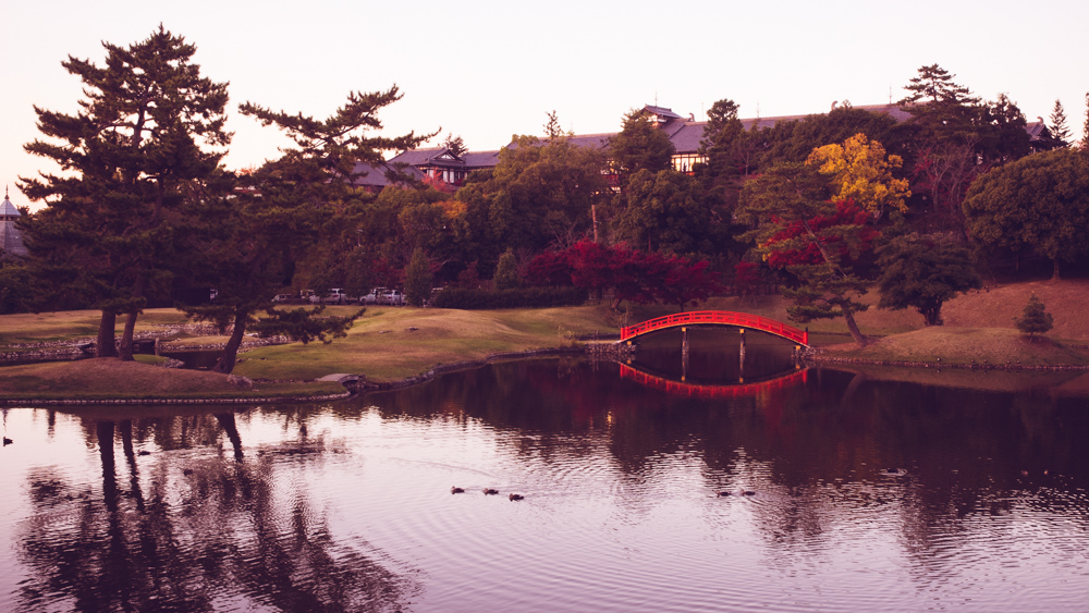 Old Daijoin Temple Garden