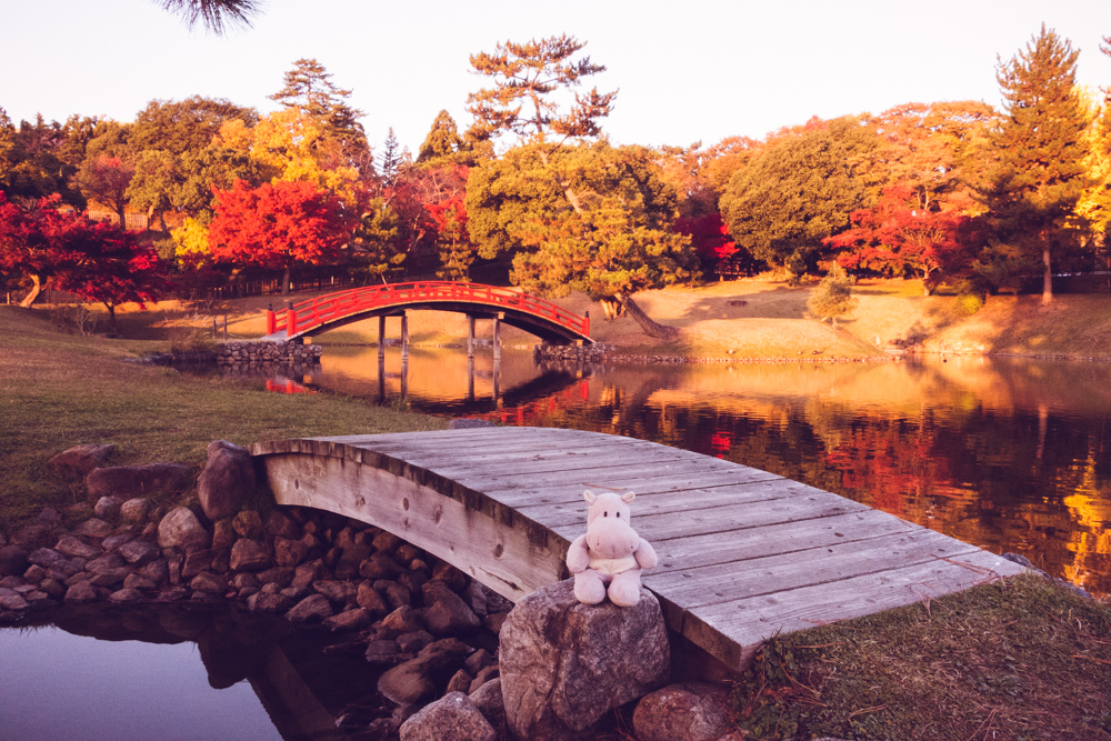 Tiny Hippo Old Daijoin Temple Garden, Nara
