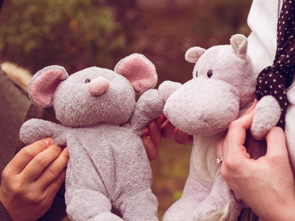 Tiny Hippo Meets another Travel Companion