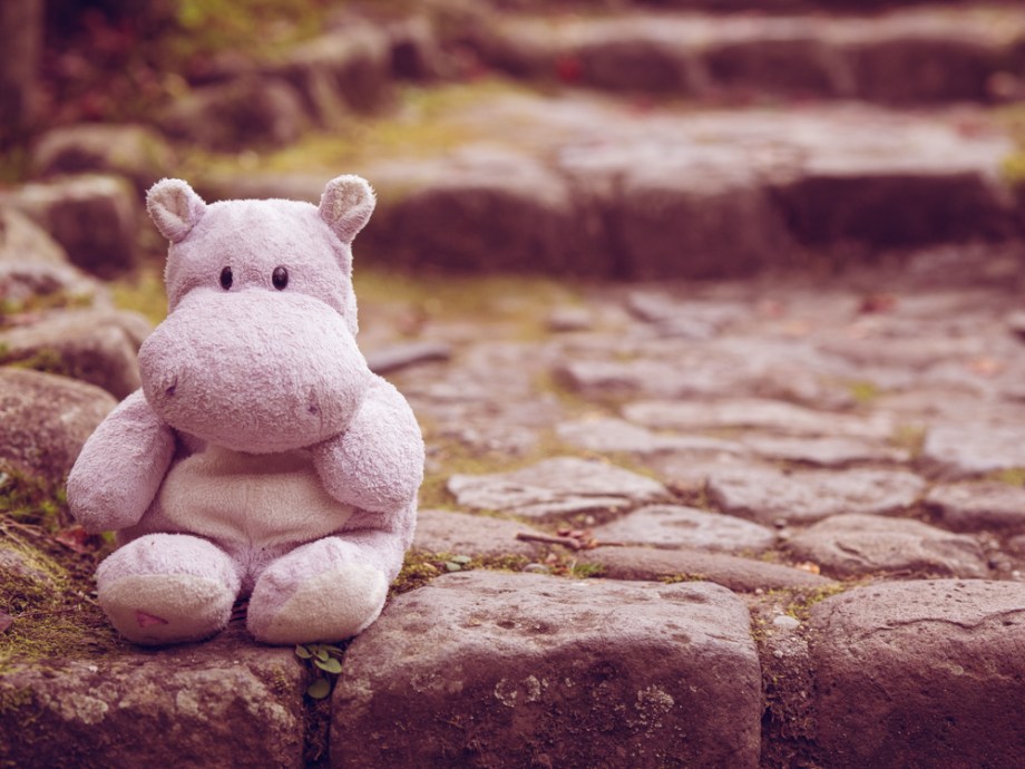 Tiny Hippo Gets Lonely