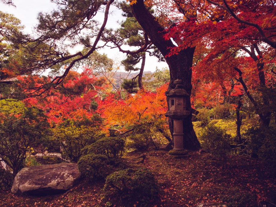 Yoshikien Garden in the Fall