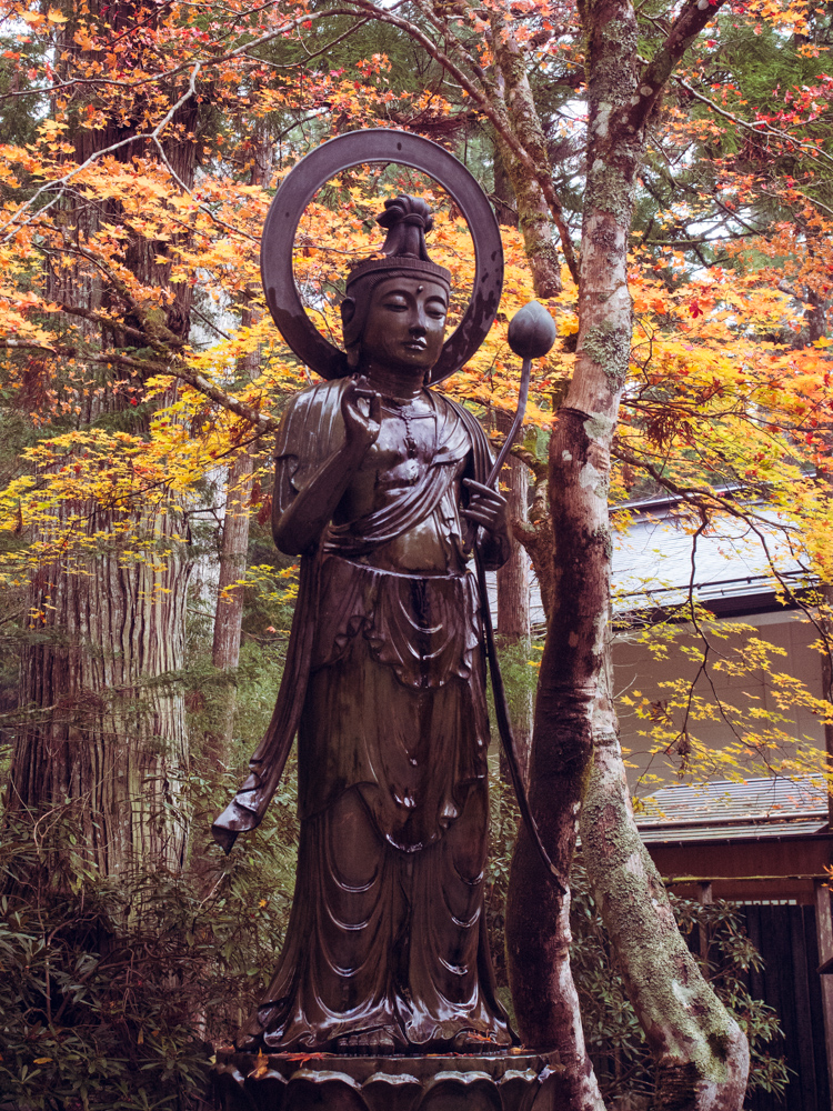 Wet Statue on Koyasan